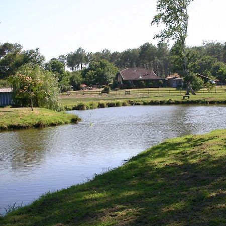 Gite 4Kms Plage Grand Domaine Prive Lacs Natura 2000 Lit-et-Mixe Εξωτερικό φωτογραφία